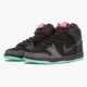 Nike Dunk SB High Premier Northern Lights 313171 063 Unisex Casual Shoes