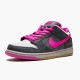 Nike Dunk SB Low Disposable 504750 061 Mens Casual Shoes