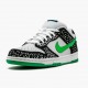 Nike Dunk SB Low Loon 313170 011 Unisex Casual Shoes