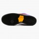 Nike SB Dunk Low ACG Terra BQ6817 008 Unisex Casual Shoes