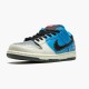 Nike SB Dunk Low Instant Skateboards CZ5128 400 Unisex Casual Shoes